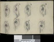 Drawing book - Image 13