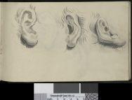 Drawing book - Image 22