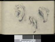 Drawing book - Image 23
