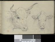 Drawing book - Image 25