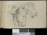 Drawing book - Image 27