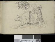 Drawing book - Image 28