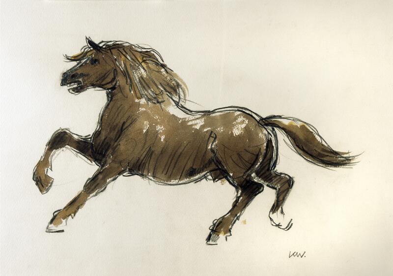 Welsh cob 1