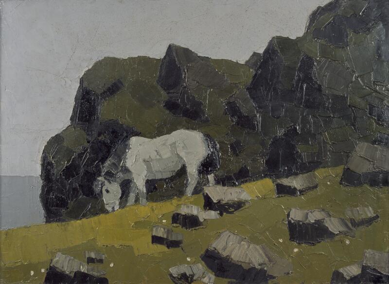 Welsh pony grazing at the coast