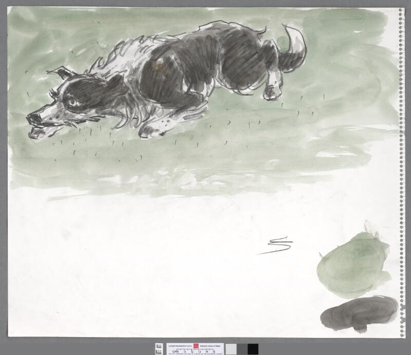 Crouching sheepdog, light green background