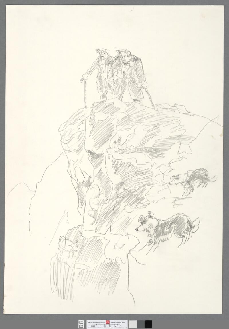 Two farmers and dogs rescuing sheep on ledge