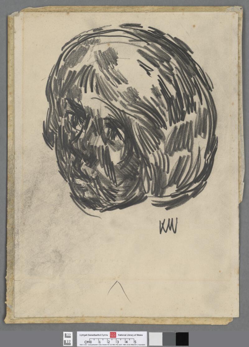 Head of a young girl, looking left
