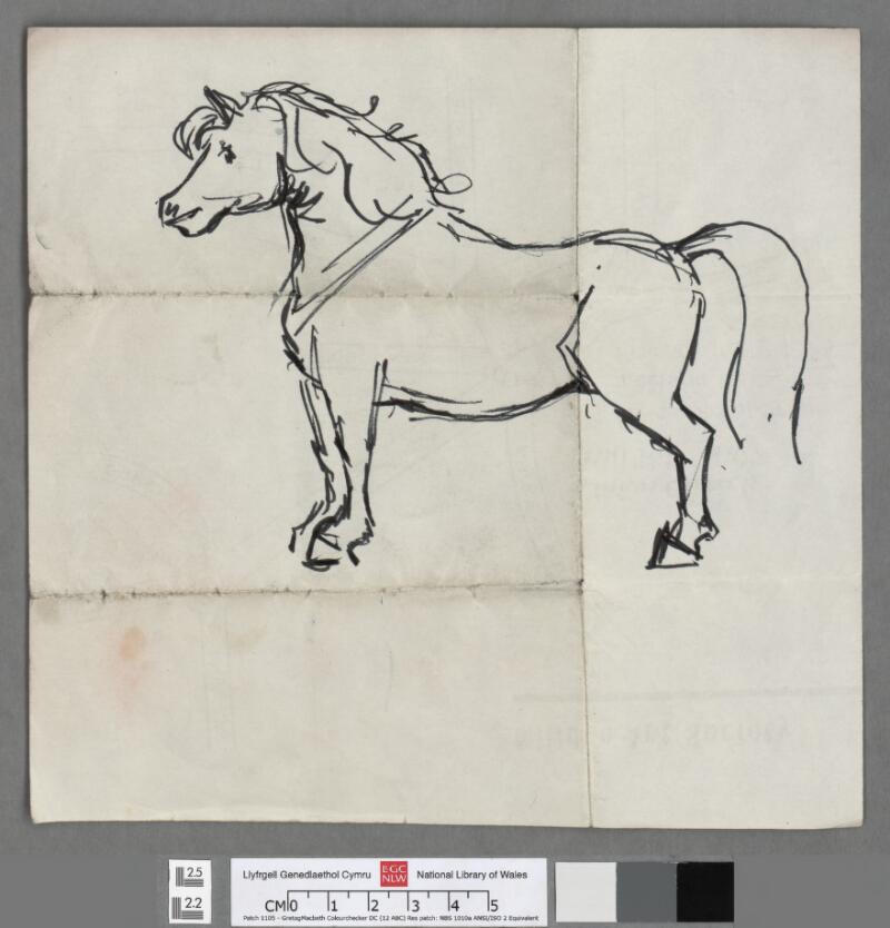 Welsh cob , facing left