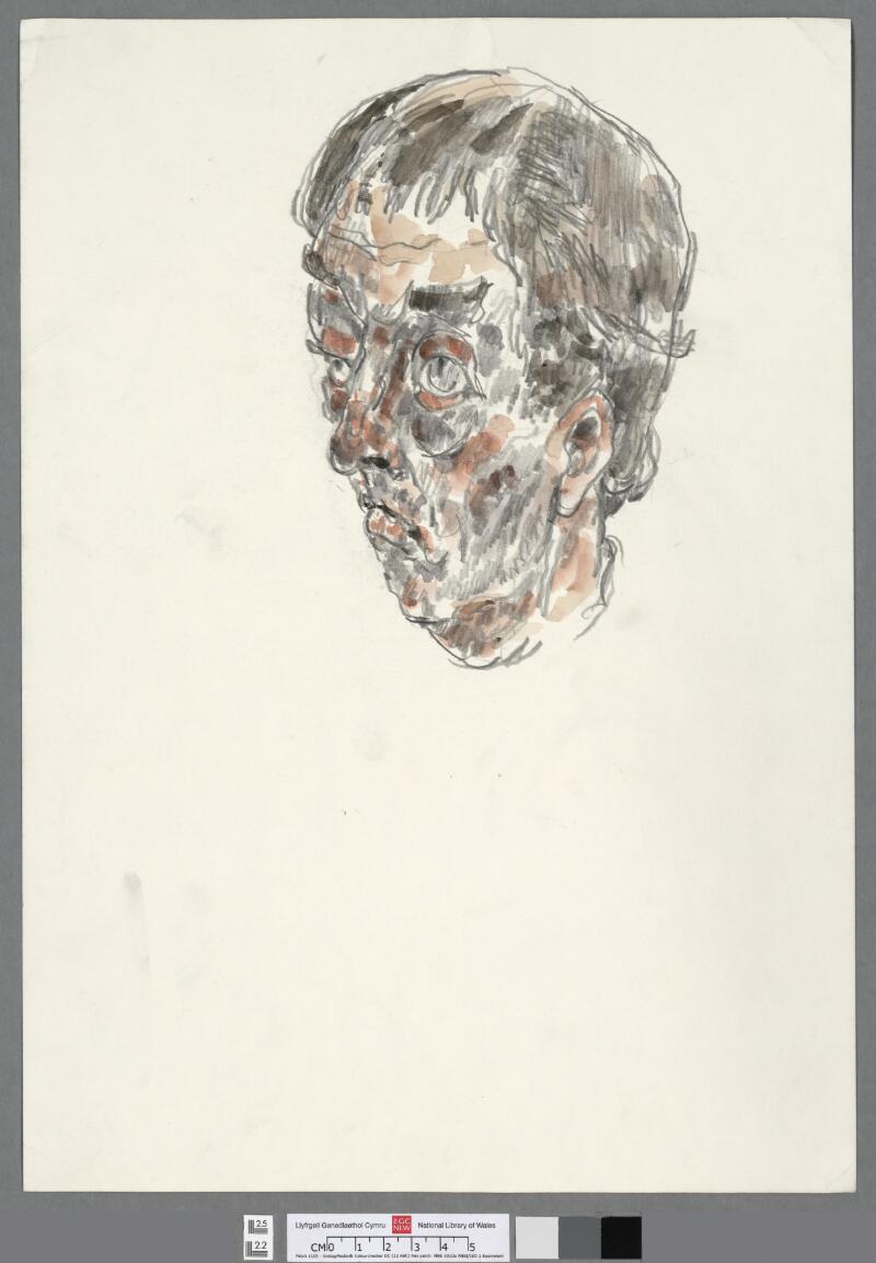 Head of a man looking left