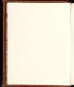 iv (Blank)