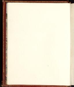vi (Blank)