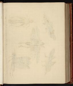 p. 189/1 (Blank)
