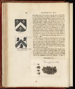 p. 195