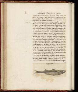 p. 201