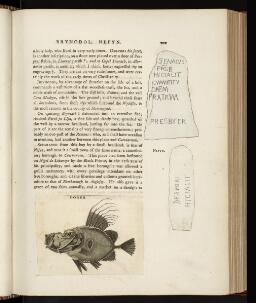 p. 202