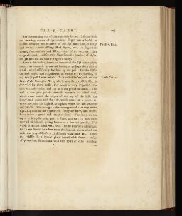 p. 206