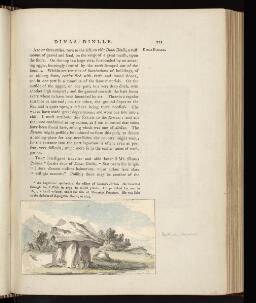 p. 212
