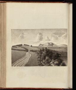 p. 219/2 (Landscape picture)