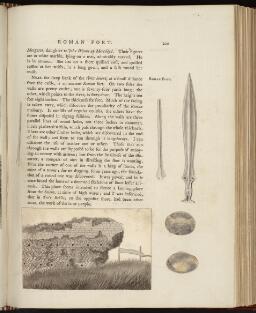 p. 220