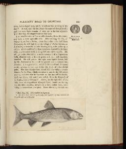 p. 222