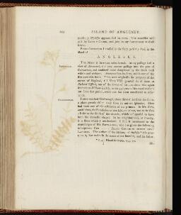 p. 223