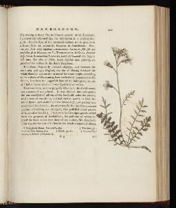 p. 224