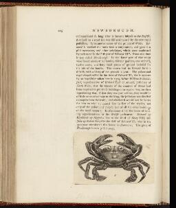 p. 225