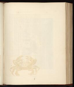p. 225/1 (Blank)