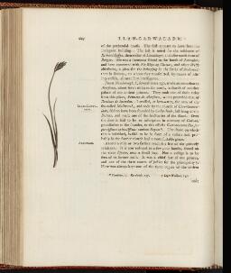 p. 227