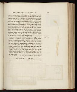 p. 228