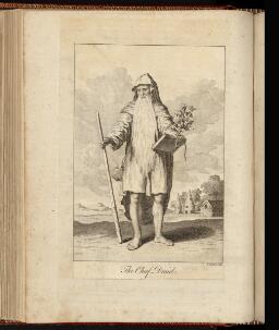 p. 233/2 (The Chief Druid)