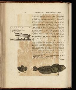p. 237