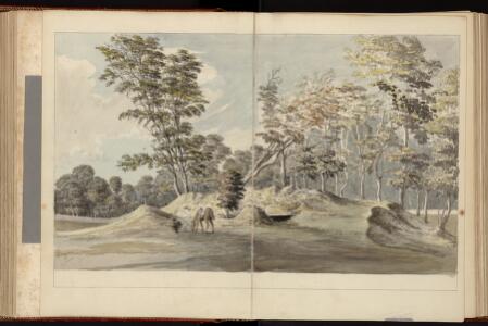 p. 237/5 (landscape and horse)