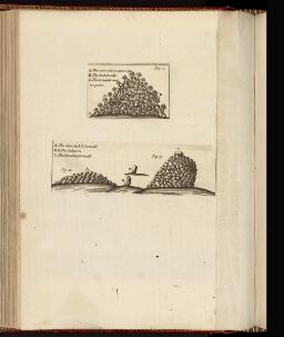 p. 237/6 (Carnedd)