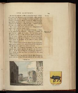 p. 244
