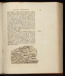p. 246