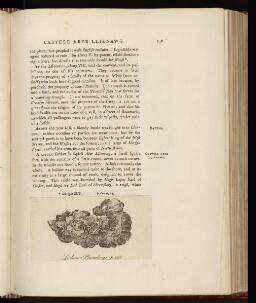 p. 248
