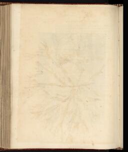 p. 249/2 (Blank)