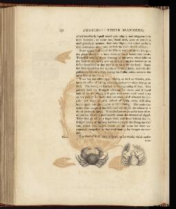 p. 251