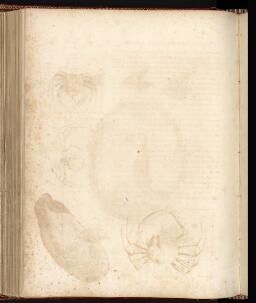 p. 251/2 (Blank)