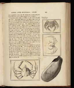 p. 252