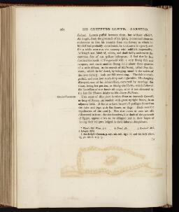 p. 261
