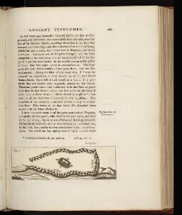 p. 262