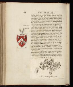 p. 273