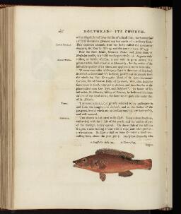 p. 275