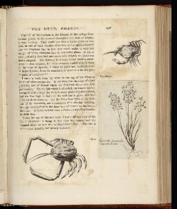 p. 278