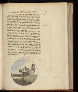 p. 302