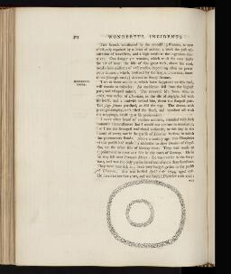 p. 305
