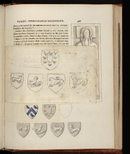 p. 315/1 (Coats of arms)