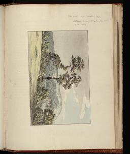 p. 323/1 (Hall and grounds)